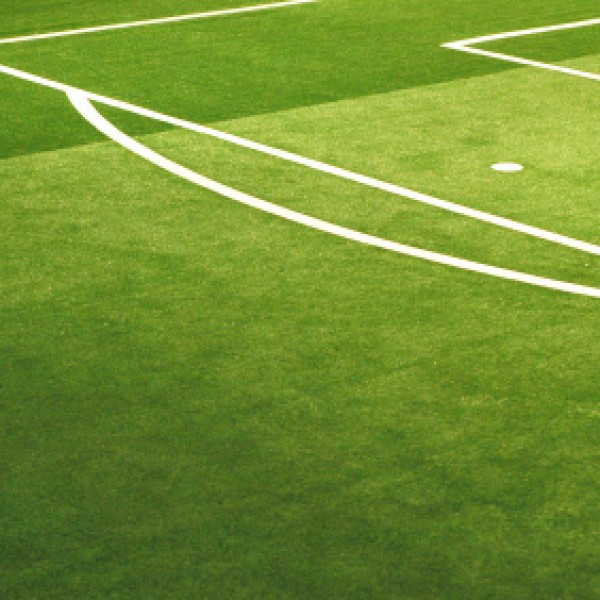 Sports Grass Seed Buy Football Pitch Grass Seed Online