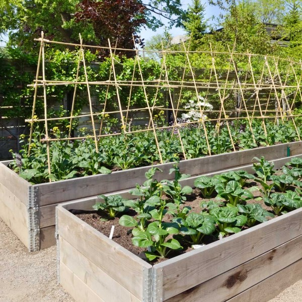 Image Result For What To Add To Topsoil For Vegetable Garden Image Result For What To Add To Topsoil For Vegetable Garden