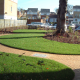 Landscaped Area with ryegrass turf