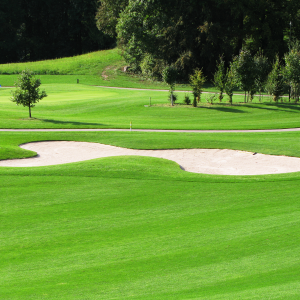 Golf course with Top Tee Turf